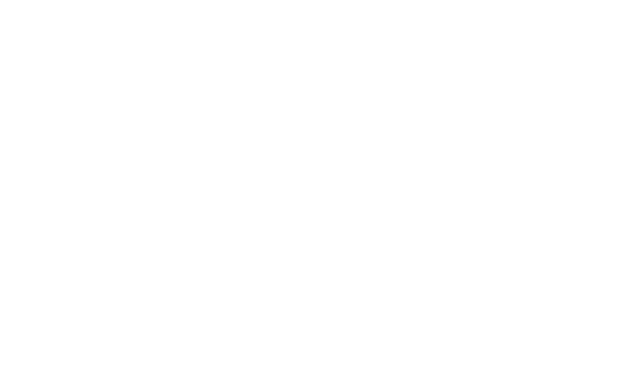 Black Mesa Payments